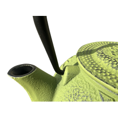 Takumi Cast Iron Teapot 0.9L Takumi Cast Iron Teapot 0.9L